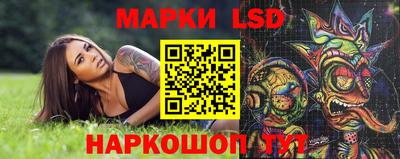 a pvp Ставрополь