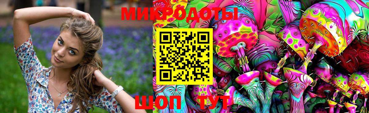 Галлюциногенные грибы Psilocybe Спасск-Дальний