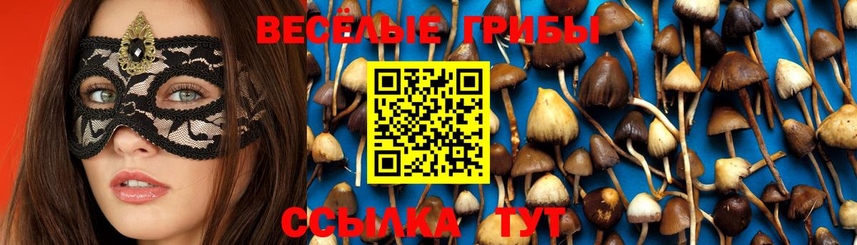 Спасск-Дальний  Галлюциногенные грибы Psilocybine cubensis  Вход с VPN  Галлюциногенные грибы Psilocybe 